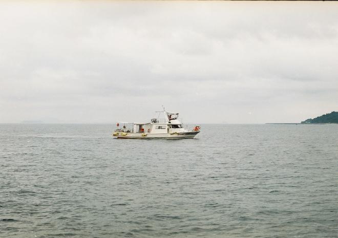 Dolphin spotting boat